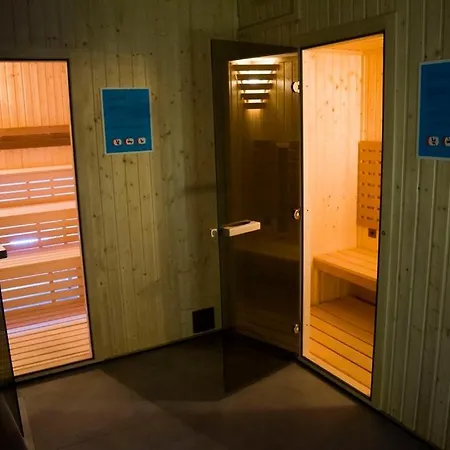 ホテル Wellness Mestska Plavaren トレビショフ